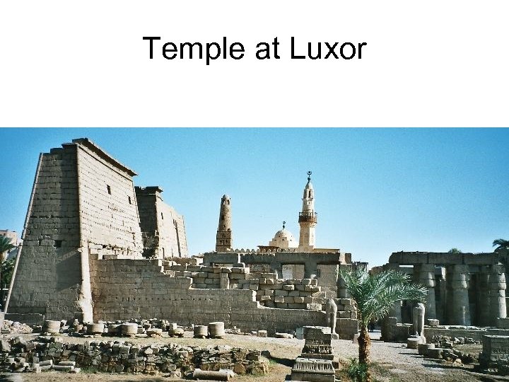 Temple at Luxor 