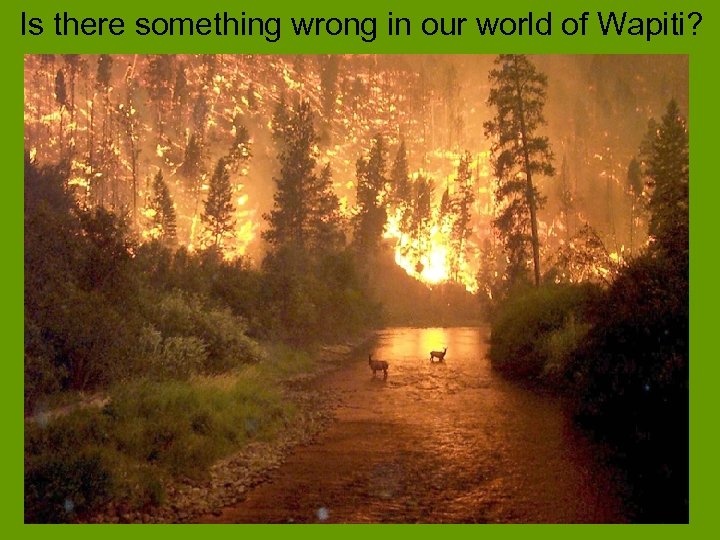 Is there something wrong in our world of Wapiti? 