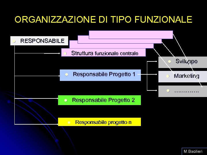 ORGANIZZAZIONE DI TIPO FUNZIONALE l RESPONSABILE Struttura funzionale centrale l l l Responsabile Progetto