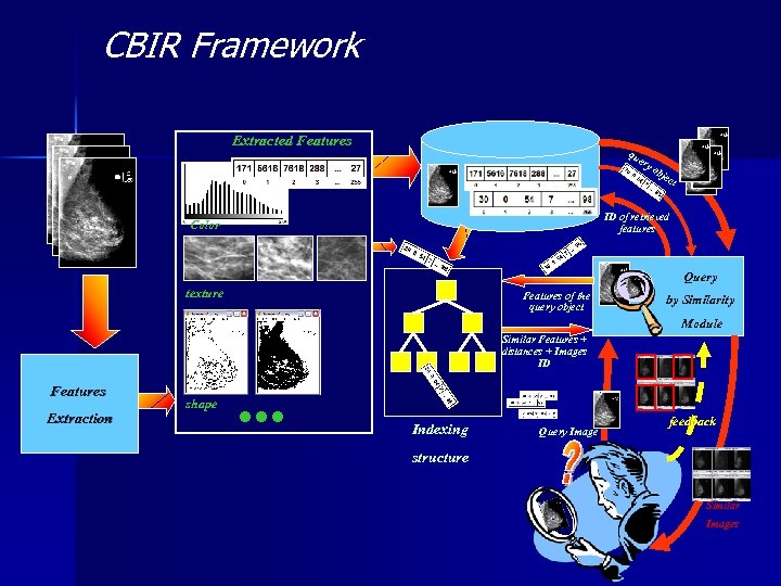 CBIR Framework Extracted Features qu ery ob jec t ID of retrieved features Color