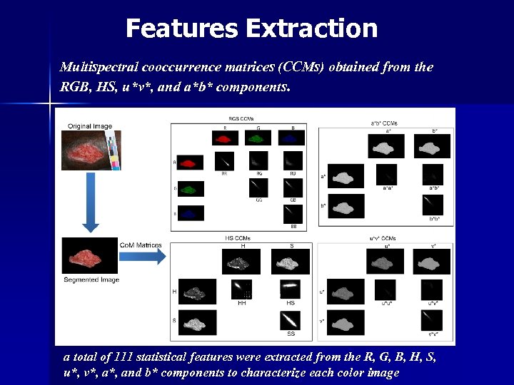 Features Extraction Multispectral cooccurrence matrices (CCMs) obtained from the RGB, HS, u*v*, and a*b*