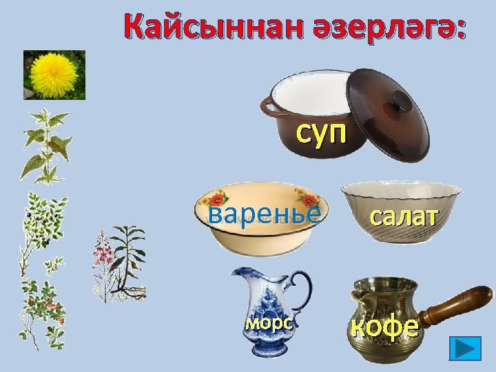 Кайсыннан әзерләгә: суп варенье морс салат кофе 
