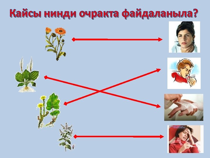 Кайсы нинди очракта файдаланыла? 