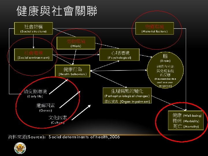 健康與社會關聯 