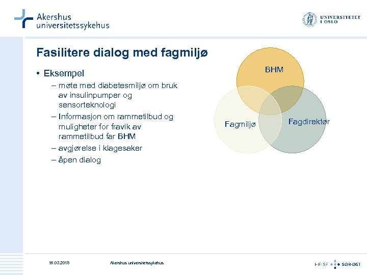 Fasilitere dialog med fagmiljø BHM • Eksempel – møte med diabetesmiljø om bruk av