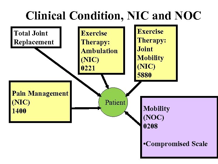 Clinical Condition, NIC and NOC Total Joint Replacement Pain Management (NIC) 1400 Exercise Therapy: