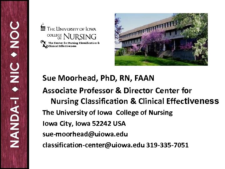 NOC NIC NANDA-I The Center for Nursing Classification & Clinical Effectiveness Sue Moorhead, Ph.