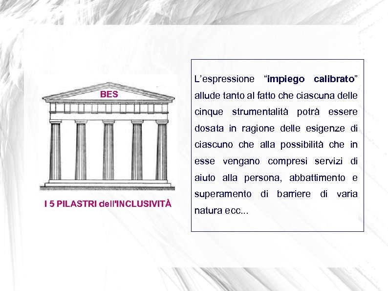 L’espressione “impiego calibrato” BES allude tanto al fatto che ciascuna delle cinque strumentalità potrà
