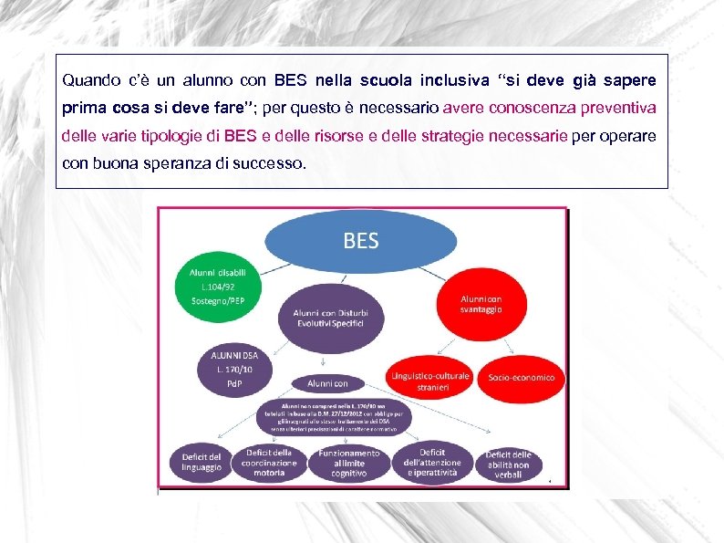 Quando c’è un alunno con BES nella scuola inclusiva “si deve già sapere prima