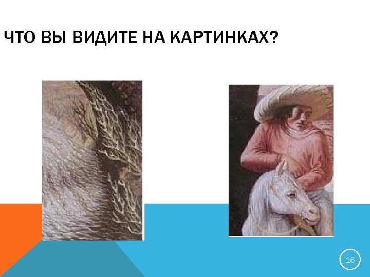 ЧТО ВЫ ВИДИТЕ НА КАРТИНКАХ? 16 