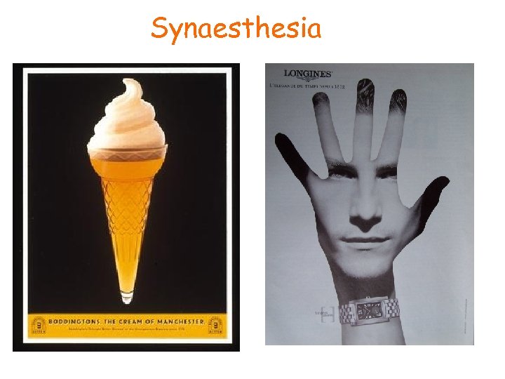 Synaesthesia 