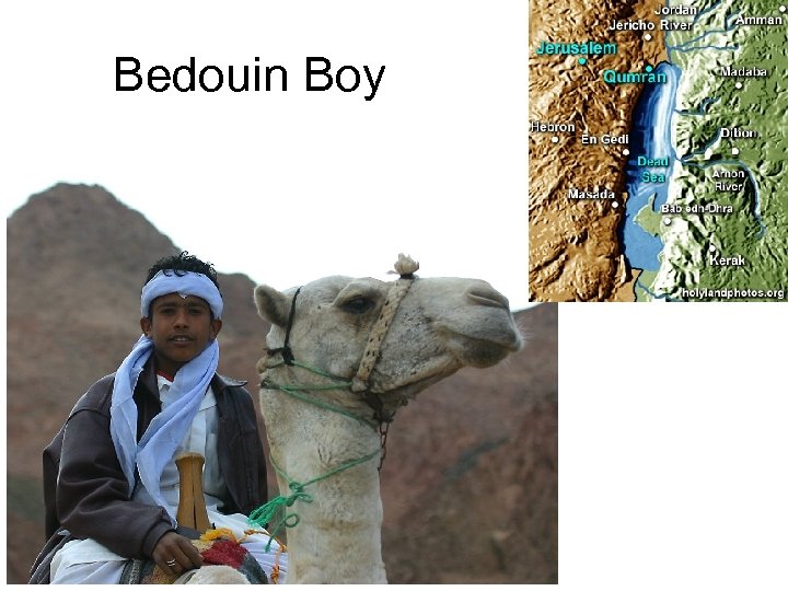 Bedouin Boy 