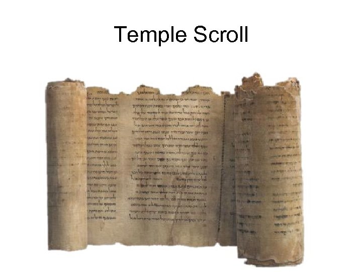 Temple Scroll 