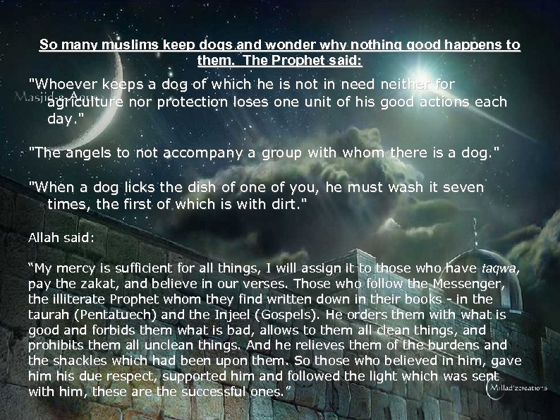 So many muslims keep dogs and wonder why nothing good happens to them. The