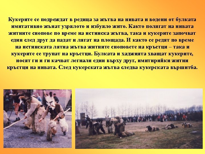 Кукерите се подреждат в редица за жътва на нивата и водени от булката имитативно