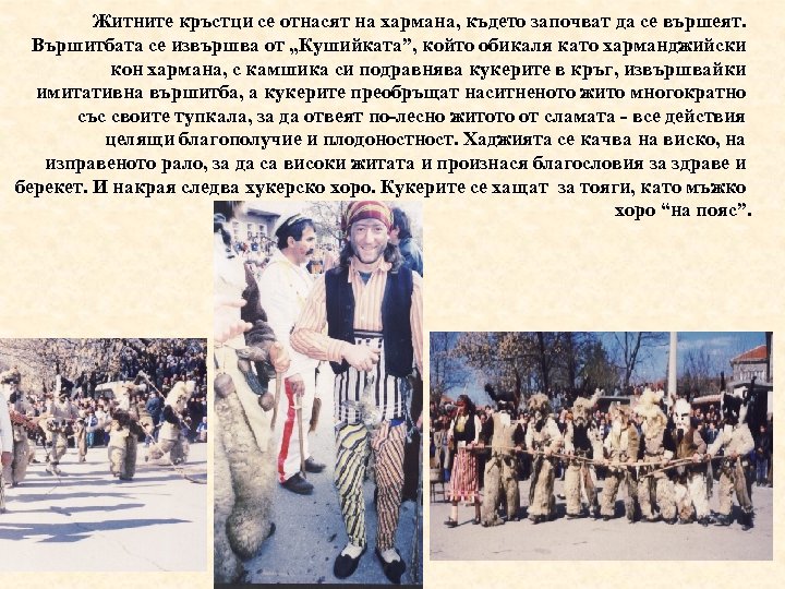 Житните кръстци се отнасят на хармана, където започват да се вършеят. Вършитбата се извършва