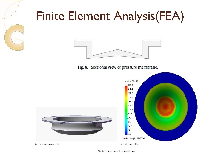 Finite Element Analysis(FEA) 