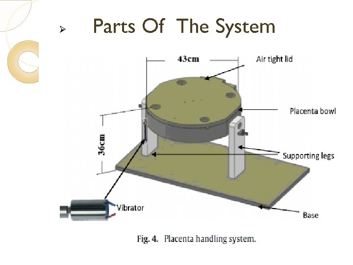 Ø Parts Of The System 