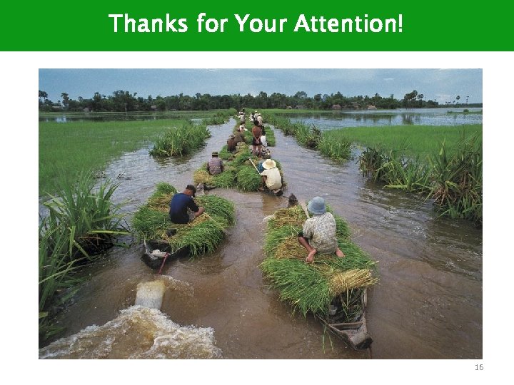 Thanks for Your Attention! 16 