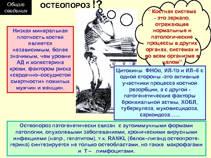Общие сведения ОСТЕОПОРОЗ !? Низкая минеральная плотность костей является независимым, более значимым, чем уровни