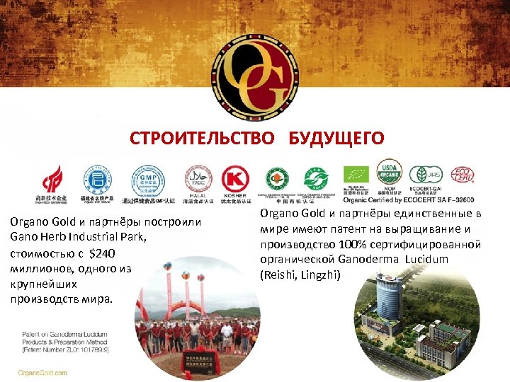СТРОИТЕЛЬСТВО БУДУЩЕГО Organo Gold и партнёры построили Gano Herb Industrial Park, стоимостью с $240