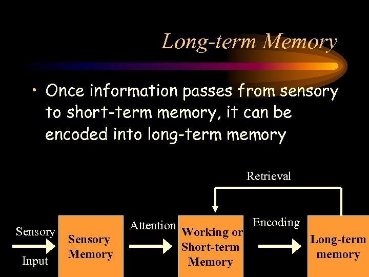 Long-term Memory • Once information passes from sensory to short-term memory, it can be