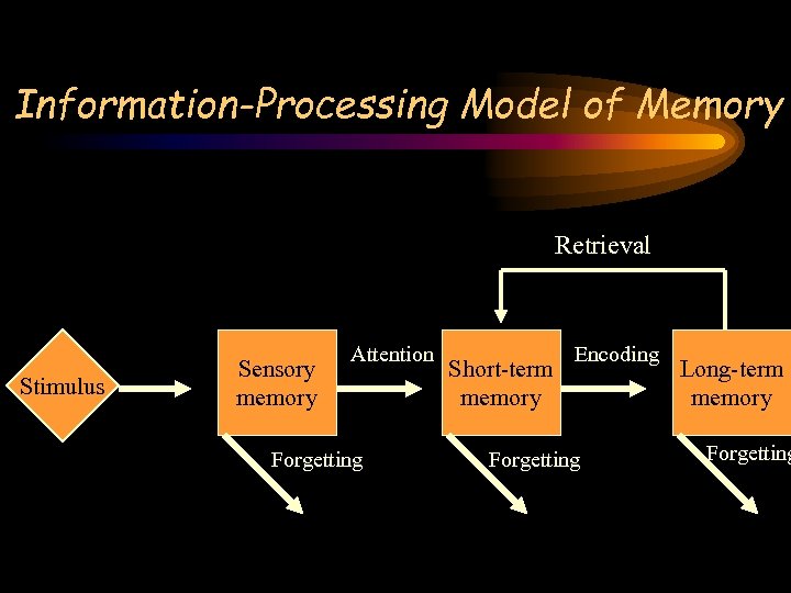 Information-Processing Model of Memory Retrieval Stimulus Sensory memory Attention Forgetting Short-term memory Encoding Forgetting
