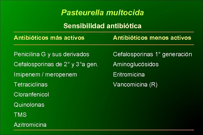 Pasteurella multocida Sensibilidad antibiótica Antibióticos más activos Antibióticos menos activos Penicilina G y sus