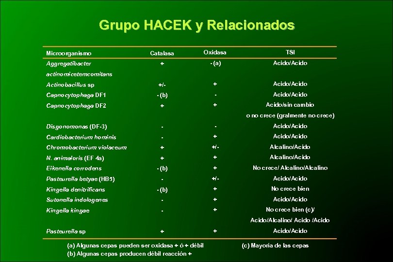 Grupo HACEK y Relacionados Microorganismo Catalasa Oxidasa TSI Aggregatibacter + - (a) Acido/Acido +/-