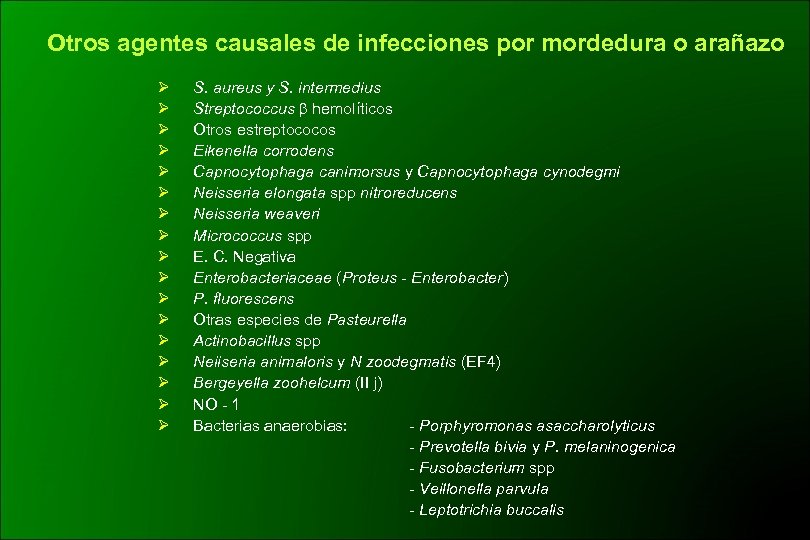 Otros agentes causales de infecciones por mordedura o arañazo Ø Ø Ø Ø Ø
