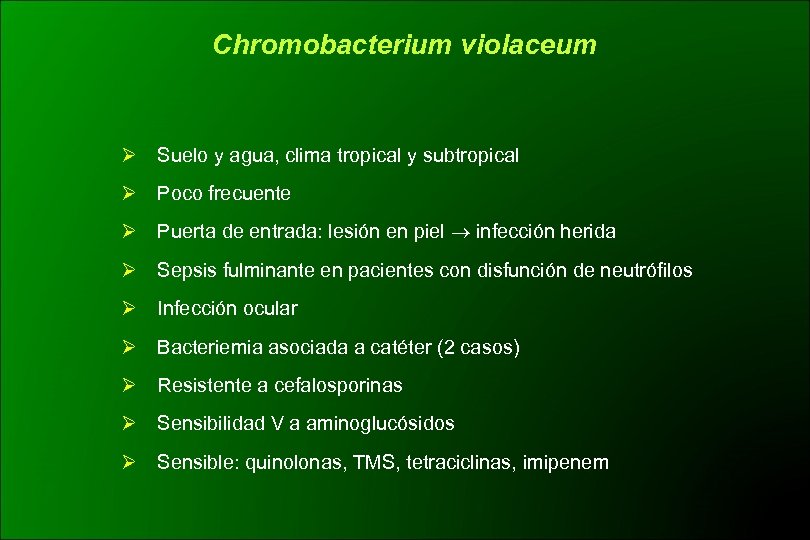 Chromobacterium violaceum Ø Suelo y agua, clima tropical y subtropical Ø Poco frecuente Ø