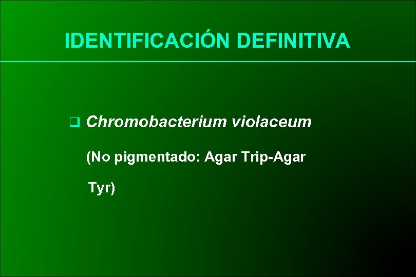 IDENTIFICACIÓN DEFINITIVA q Chromobacterium violaceum (No pigmentado: Agar Trip-Agar Tyr) 