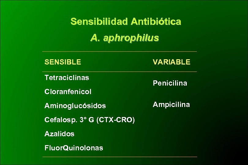 Sensibilidad Antibiótica A. aphrophilus SENSIBLE Tetraciclinas VARIABLE Penicilina Cloranfenicol Aminoglucósidos Cefalosp. 3° G (CTX-CRO)