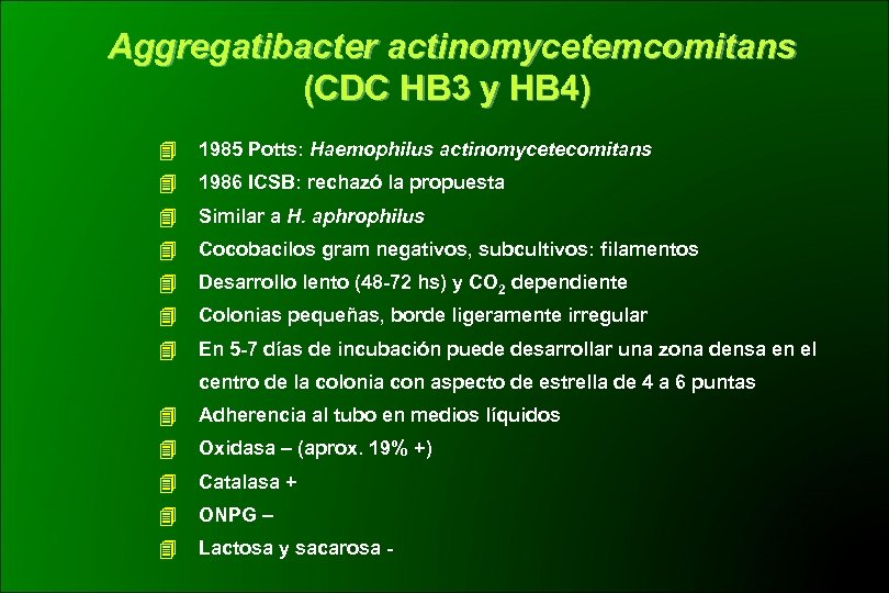 Aggregatibacter actinomycetemcomitans (CDC HB 3 y HB 4) 1985 Potts: Haemophilus actinomycetecomitans 1986 ICSB:
