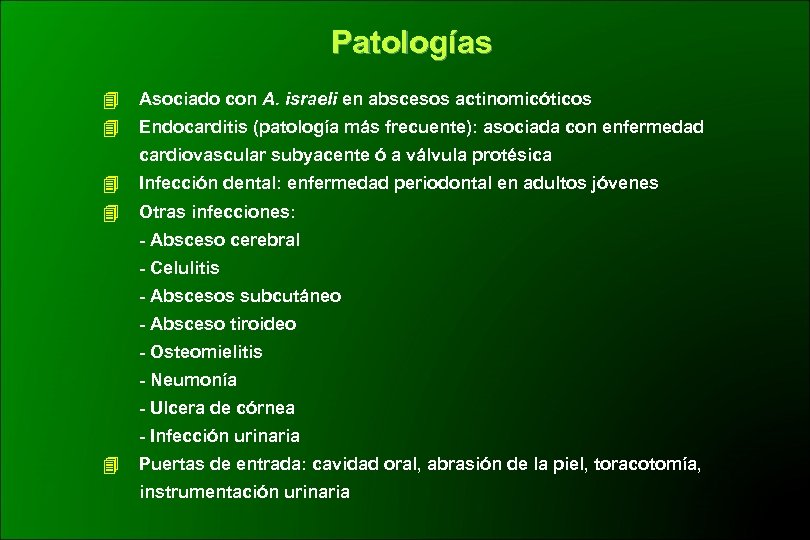 Patologías Asociado con A. israeli en abscesos actinomicóticos Endocarditis (patología más frecuente): asociada con