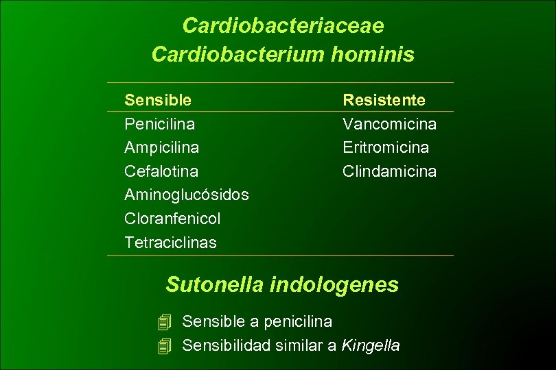 Cardiobacteriaceae Cardiobacterium hominis Sensible Penicilina Ampicilina Cefalotina Aminoglucósidos Cloranfenicol Tetraciclinas Resistente Vancomicina Eritromicina Clindamicina