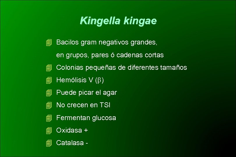 Kingella kingae Bacilos gram negativos grandes, en grupos, pares ó cadenas cortas Colonias pequeñas