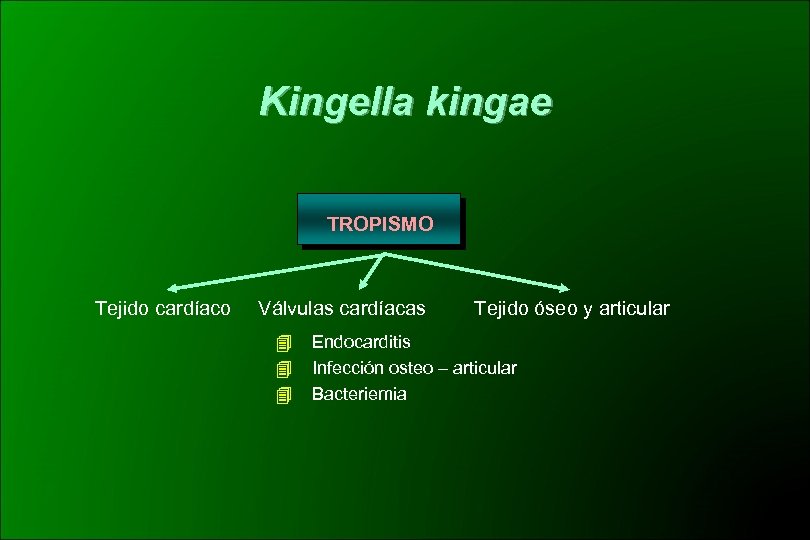 Kingella kingae TROPISMO Tejido cardíaco Válvulas cardíacas Tejido óseo y articular Endocarditis Infección osteo