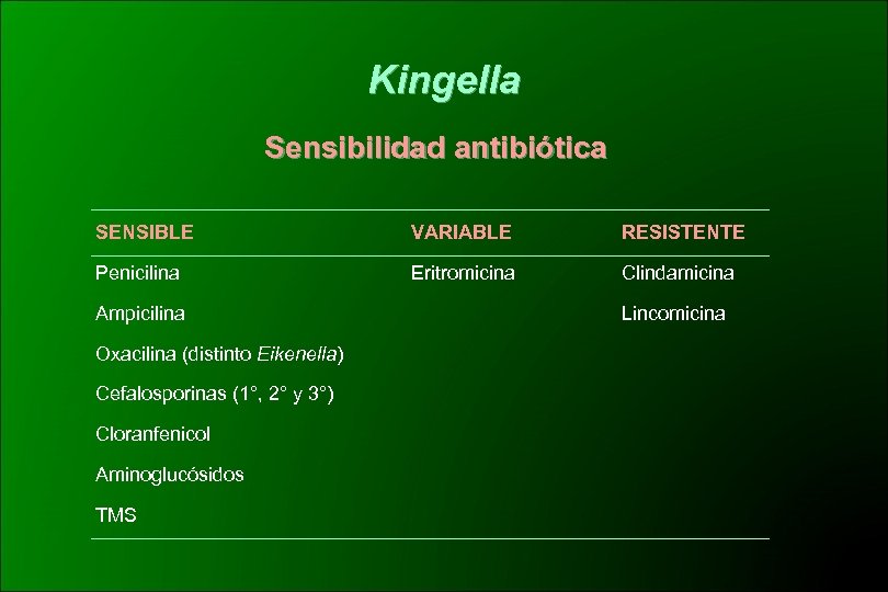 Kingella Sensibilidad antibiótica SENSIBLE VARIABLE RESISTENTE Penicilina Eritromicina Clindamicina Ampicilina Oxacilina (distinto Eikenella) Cefalosporinas
