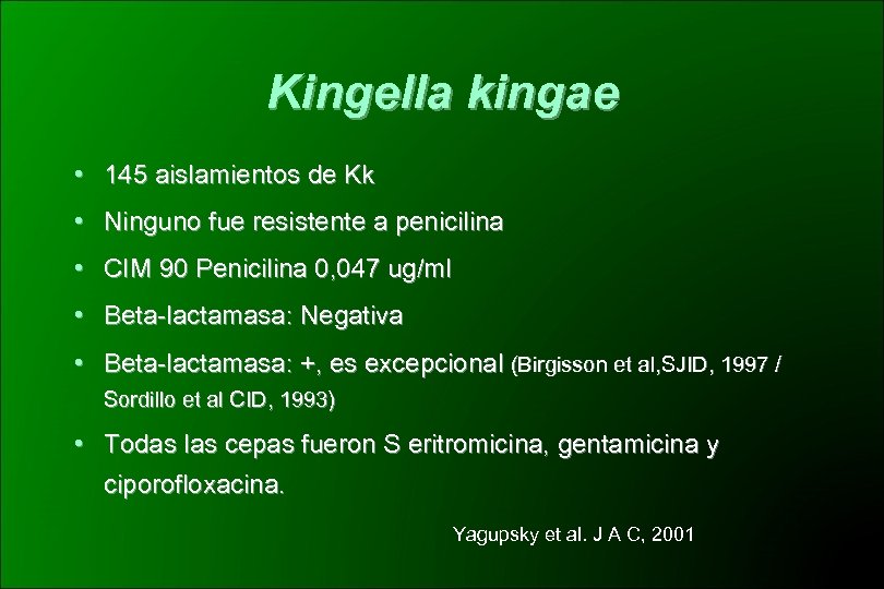 Kingella kingae • 145 aislamientos de Kk • Ninguno fue resistente a penicilina •