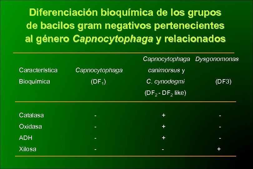 Diferenciación bioquímica de los grupos de bacilos gram negativos pertenecientes al género Capnocytophaga y
