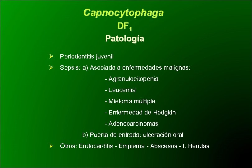 Capnocytophaga DF 1 Patología Ø Periodontitis juvenil Ø Sepsis: a) Asociada a enfermedades malignas: