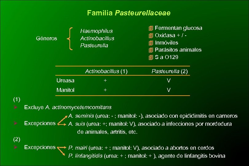 Familia Pasteurellaceae Haemophilus Actinobacillus Pasteurella Géneros Fermentan glucosa Oxidasa + / Inmóviles Parásitos animales