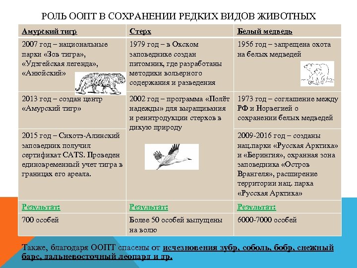 РОЛЬ ООПТ В СОХРАНЕНИИ РЕДКИХ ВИДОВ ЖИВОТНЫХ Амурский тигр Стерх Белый медведь 2007 год