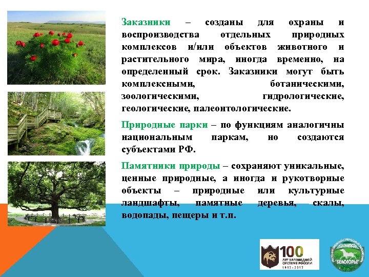 Заказники – созданы для охраны и воспроизводства отдельных природных комплексов и/или объектов животного и