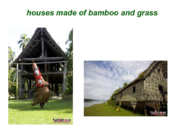 houses made of bamboo and grass 