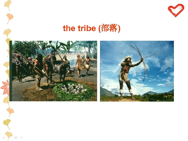 the tribe (部落) 