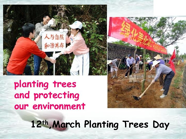 planting trees and protecting our environment 12 th, March Planting Trees Day 