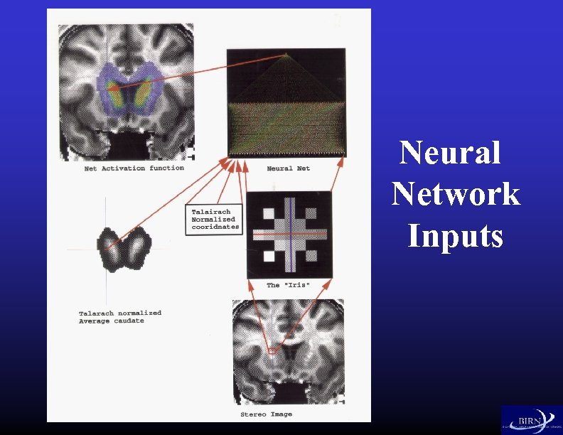 Neural Network Inputs 