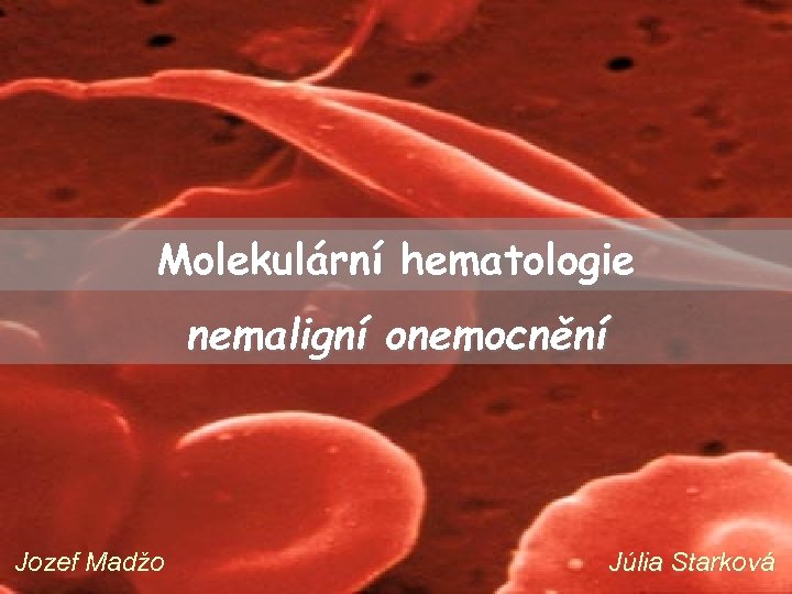 Molekulární hematologie nemaligní onemocnění Jozef Madžo Júlia Starková 